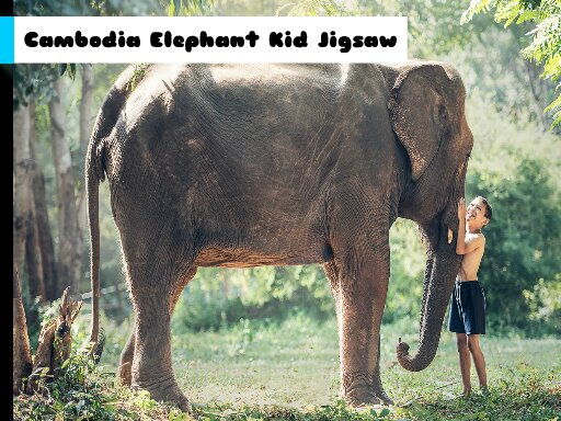 casual game:Cambodia Elephant Kid Jigsaw