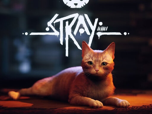 casual game:Stray